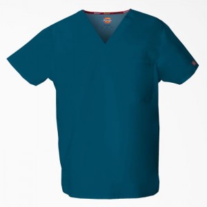 Dickies EDS Signature V-Neck Scrub Top Albastri | MZLJ0954