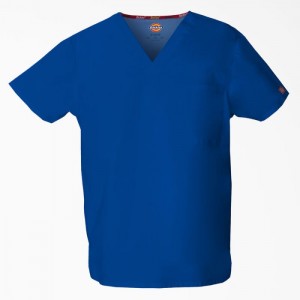 Dickies EDS Signature V-Neck Scrub Top Albastri | HDLW1829