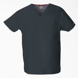 Dickies EDS Signature V-Neck Scrub Top Albastri Gri | OQKF3043