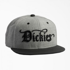Dickies Embroidered Plati Brim Hat Two-Tone | NMHB1698