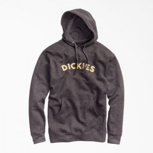Dickies Fleece Block Logo Hoodie Gri | CKNW4510