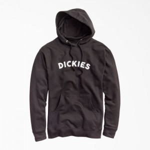 Dickies Fleece Block Logo Hoodie Negrii | YING1037