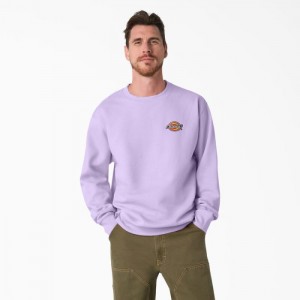 Dickies Fleece Embroidered Chest Logo Sweatshirt Regular | VUYI3403