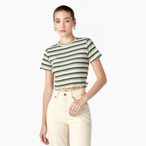 Dickies In Dungi Cropped Baby T-Shirt Verzi Bleumarin | GMBV3251