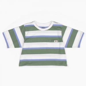 Dickies In Dungi Cropped Pocket T-Shirt Albi Verzi | IOCK6057
