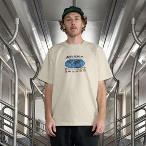 Dickies Jake Hayes Grafice T-Shirt Bej | IEJR6806