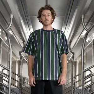 Dickies Jake Hayes In Dungi T-Shirt Bleumarin Verzi Inchis | EIRB7133