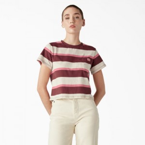 Dickies Large In Dungi Cropped Pocket T-Shirt Roz Bleumarin | UBVS0821