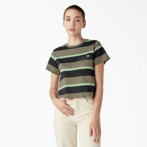 Dickies Large In Dungi Cropped Pocket T-Shirt Albastru Regal Verzi | IBQB3870