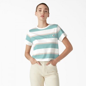 Dickies Large In Dungi Cropped Pocket T-Shirt Turcoaz | TJXC1352