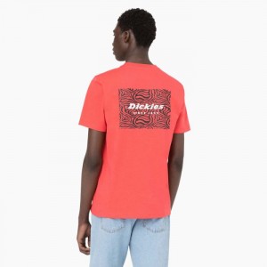 Dickies Leesburg Scurte Sleeve T-Shirt Bittersweet | YVES7467
