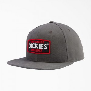 Dickies Logo Patch Plati Bill Cap Gri | YBNC2238