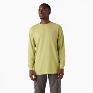 Dickies Long Sleeve Heavyweight Logo T-Shirt Fern Heather | TPDU4793