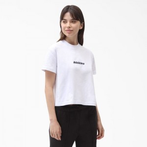 Dickies Loretto Cropped T-Shirt Albi | FMUS8166