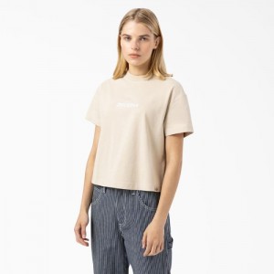 Dickies Loretto Cropped T-Shirt Maro | HDEB9462