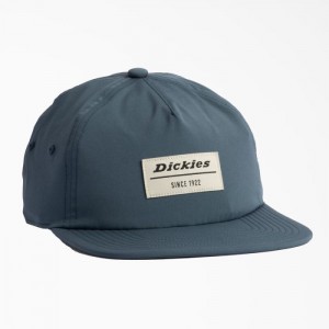 Dickies Low Pro Atletism Cap Albastri | XIDX9974