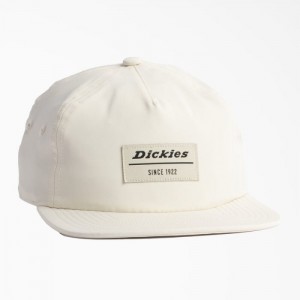 Dickies Low Pro Atletism Cap Gri | LCQD5709