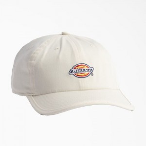 Dickies Low Pro Logo Dad Hat Egret | FHPB8689
