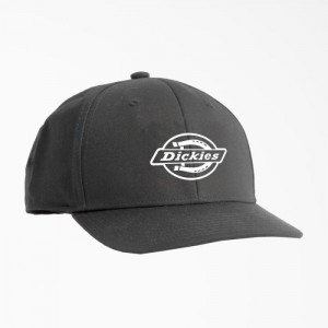 Dickies Low Pro Logo Print Cap Gri | IQDA9019