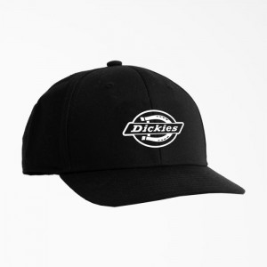 Dickies Low Pro Logo Print Cap Negrii | PERU4098