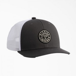 Dickies Low Pro Workwear Patch Trucker Hat Gri | SIWS4255