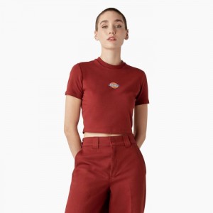 Dickies Maple Valley Logo Cropped T-Shirt Rosii Inchis | JAZR7805