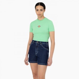 Dickies Maple Valley Logo Cropped T-Shirt Verde Menta | BCWB6931