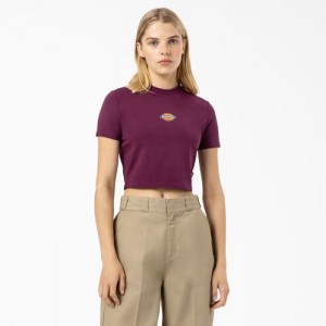 Dickies Maple Valley Logo Cropped T-Shirt Violet Visinii | SHUH8857