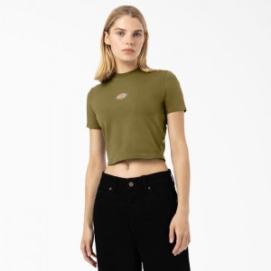 Dickies Maple Valley Logo Cropped T-Shirt Verzi | TVFB0647