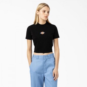 Dickies Maple Valley Logo Cropped T-Shirt Negrii | QLOB4692