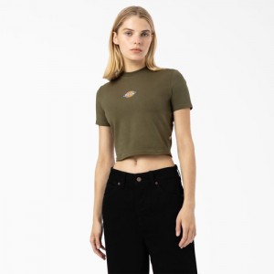 Dickies Maple Valley Logo Cropped T-Shirt Verzi | RIXF5360