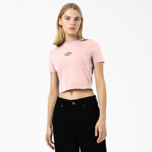 Dickies Maple Valley Logo Cropped T-Shirt Roz | WYCJ5238