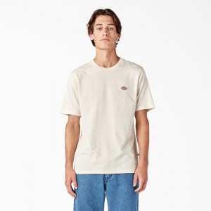 Dickies Mapleton Scurte Sleeve T-Shirt Gri | FPGJ6174