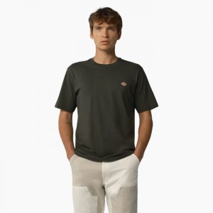 Dickies Mapleton Scurte Sleeve T-Shirt Masline Verzi Verzi | PCCS4841