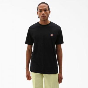 Dickies Mapleton Scurte Sleeve T-Shirt Negrii | CAXT5974