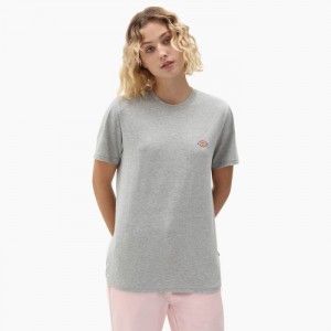 Dickies Mapleton T-Shirt Gri | DFPS2132