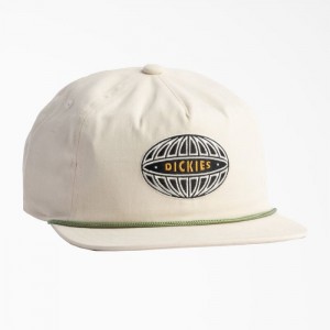 Dickies Mid-High Pro Embroidered Cap Gri | AVRF3713