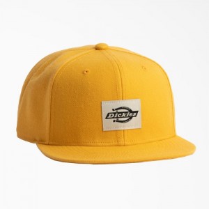 Dickies Mid-High Pro Plati Brim Hat Narcissus | UXKJ9896