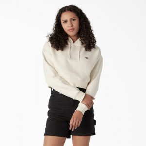 Dickies Oakport Cropped Hoodie Cloud | YEQA6986