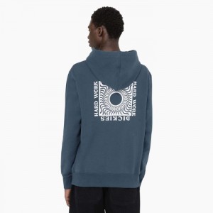 Dickies Oatfield Hoodie Albastri | ZJKE8262