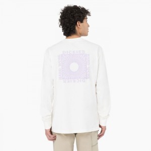 Dickies Oatfield Long Sleeve T-Shirt Cloud | XOBC1647