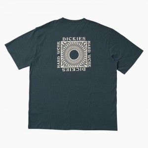 Dickies Oatfield Scurte Sleeve T-Shirt Albastri | OGBX9036