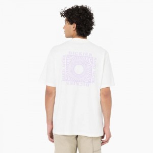 Dickies Oatfield Scurte Sleeve T-Shirt Cloud | IHNE4857
