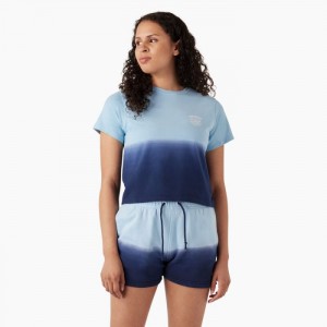 Dickies Ombre Cropped T-Shirt Albastri Bleumarin | WHWT1354