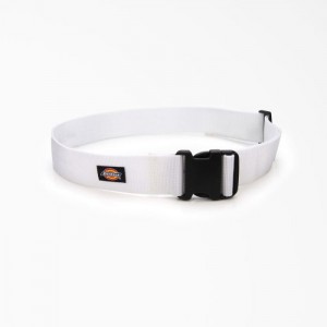 Dickies Painter's Heavy-Duty Lucru Tool Belt, 2" Albi | PWLC2339