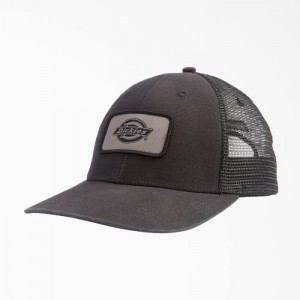 Dickies Panza Trucker Cap Negrii | BAUA6703