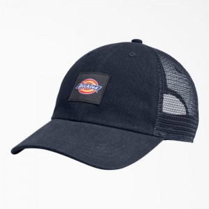 Dickies Panza Trucker Hat Bleumarin | SVSB8857