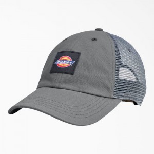Dickies Panza Trucker Hat Gri | GBVZ9792
