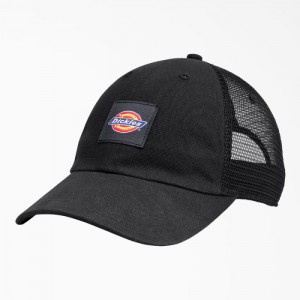 Dickies Panza Trucker Hat Negrii | RDZG5636