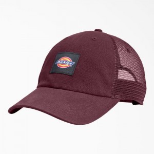 Dickies Panza Trucker Hat Visinii | XYHT2980